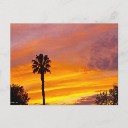 Palm Springs Sunset Postcard
