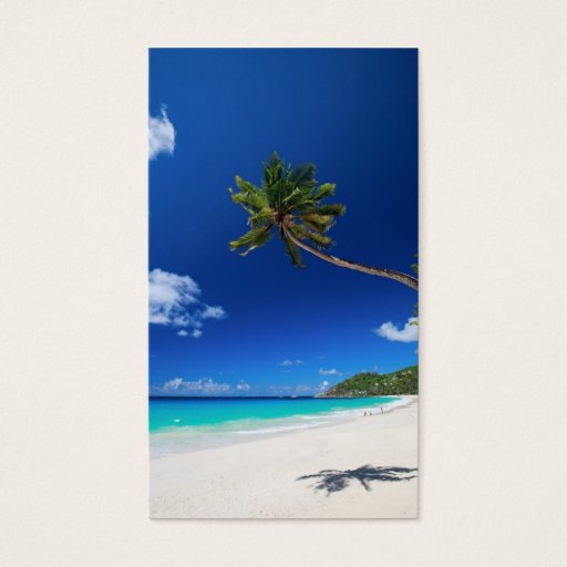 Customizable Palm tree business card templates