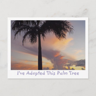 PALM TREE AGAINST LAVENDER,PEACH,GOLD SUNSET POSTCARD