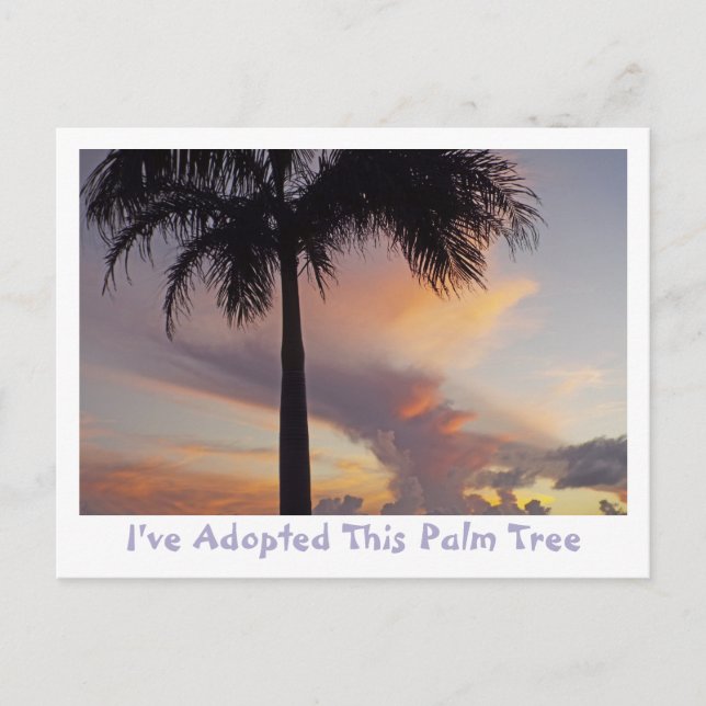 PALM TREE AGAINST LAVENDER,PEACH,GOLD SUNSET POSTCARD (Front)