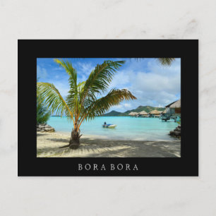 Palm tree and overwater resort black postcard