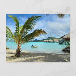 Palm tree and overwater resort postcard