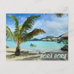 Palm tree and overwater resort text postcard