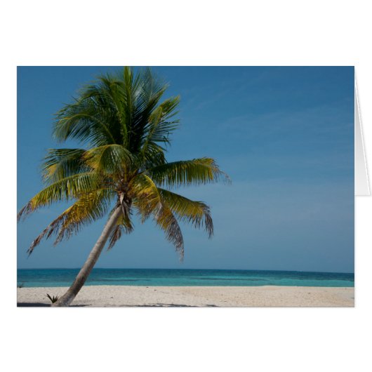 Palm tree and white sand beach  2 cards (Front Horizontal)