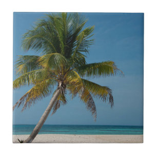 Palm tree and white sand beach 2 ceramic tile