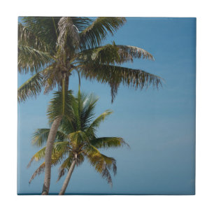 Palm tree and white sand beach ceramic tile