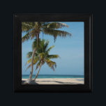 Palm tree and white sand beach jewelry box<br><div class="desc">Cindy Miller Hopkins / DanitaDelimont.com | Central America,  Belize | Belize. Goff Caye,  a popular Barrier Reef island just offshore from Belize city. Palm tree and white sand beach .</div>