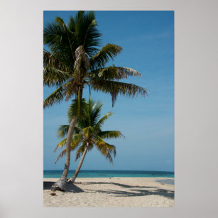 Palm tree and white sand beach poster