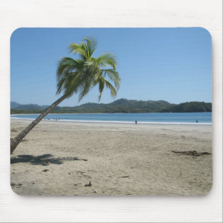 Palm Tree at the Beach Mouse Pad