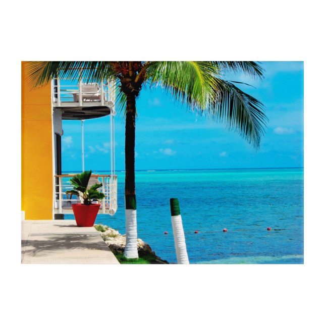 Palm Tree At The Front Yard Of A House By The Sea Acrylic Print (Front)