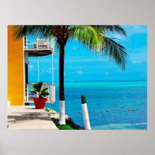 Palm Tree At The Front Yard Of A House By The Sea Poster