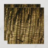 Palm Tree Bark (Front/Back)