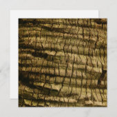 Palm Tree Bark (Front/Back)