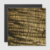 Palm Tree Bark (Front/Back)