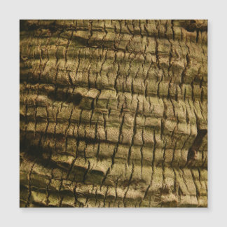 Palm Tree Bark