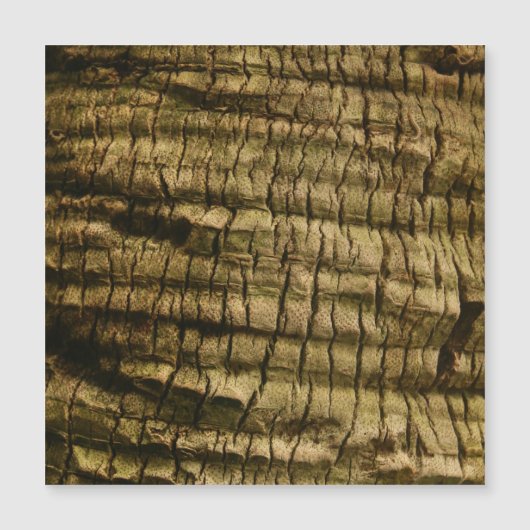 Palm Tree Bark (Front)