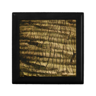 Palm Tree Bark Gift Box