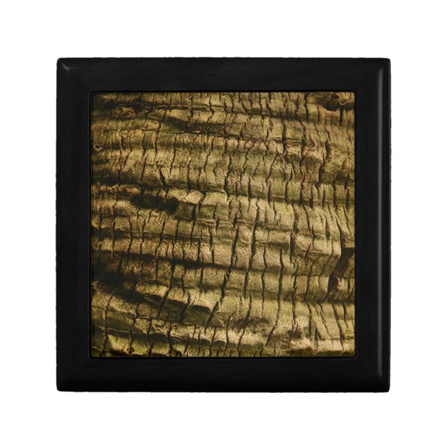 Palm Tree Bark Gift Box (Front)