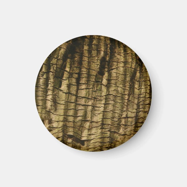 Palm Tree Bark Magnet (Front)