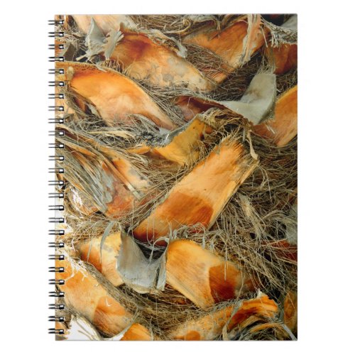 Palm tree bark natural texture notebook