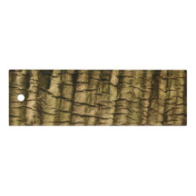 Palm Tree Bark