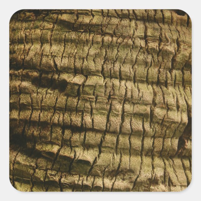 Palm Tree Bark Square Sticker (Front)