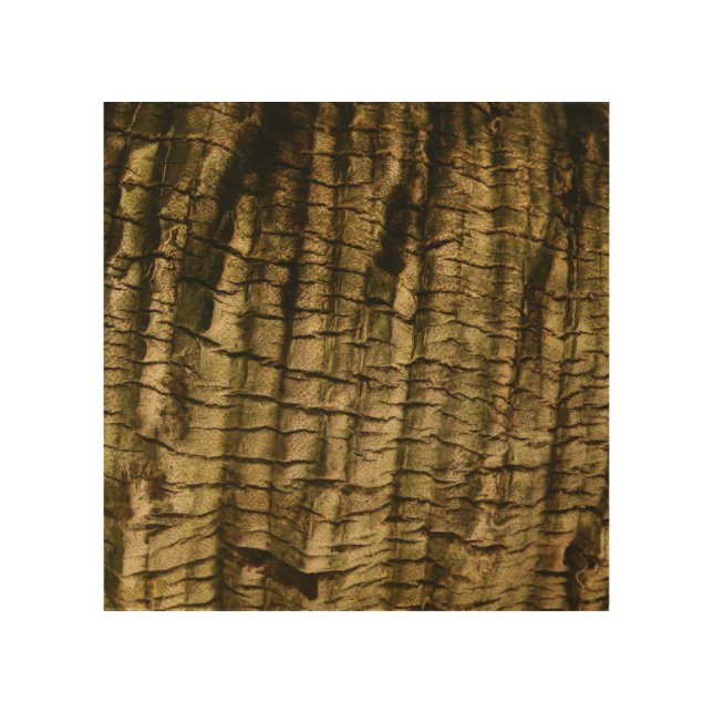 Palm Tree Bark Wood Wall Art (Front)
