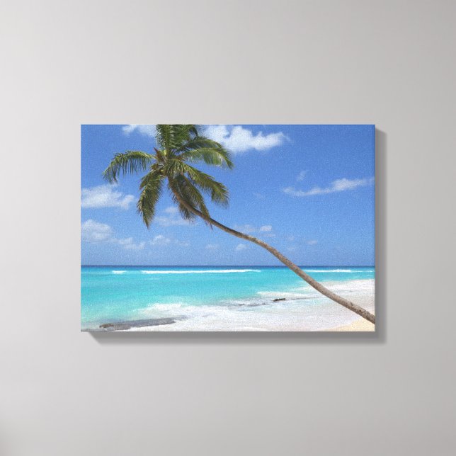 Palm tree beach caribbean canvas print (Front)