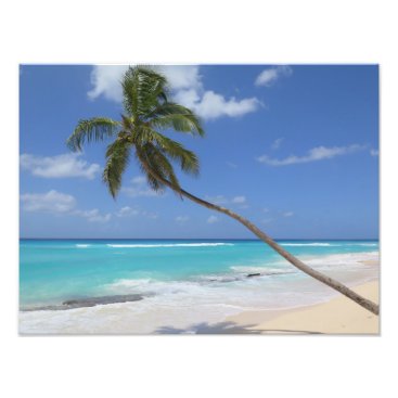 Palm tree beach caribbean photo print Palm tree beach caribbean photo print