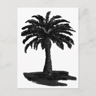 Palm Tree Black The MUSEUM Zazzle Gifts Postcard