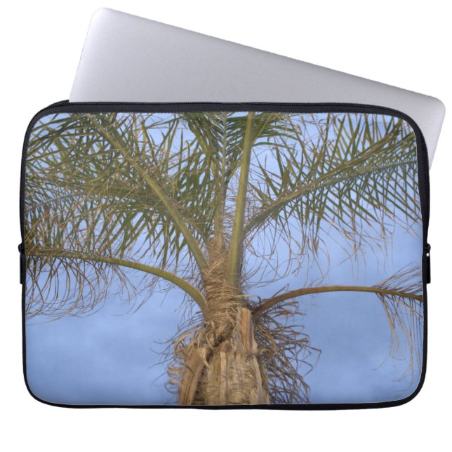 Palm Tree Blue Sky Laptop Sleeve (Front)