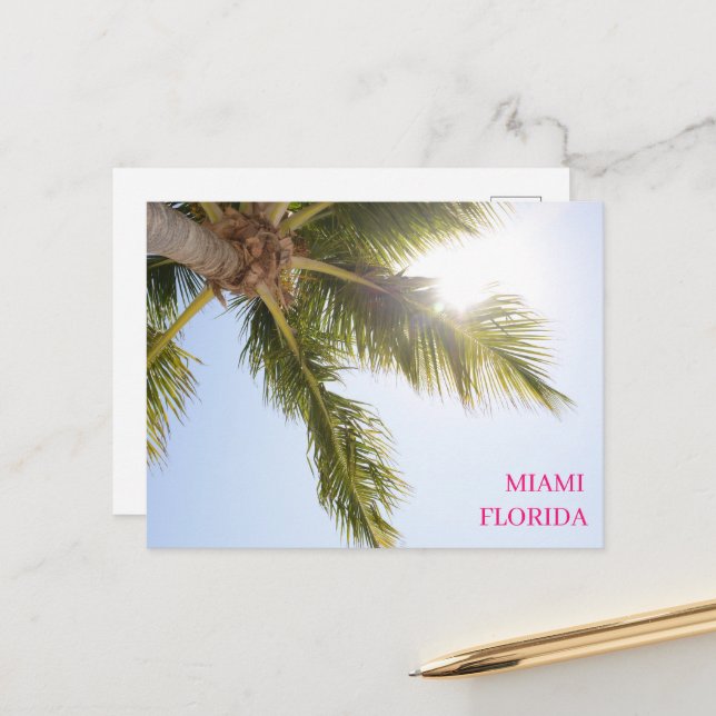 Palm Tree Blue Sky Miami Florida Travel Postcard (Front/Back In Situ)