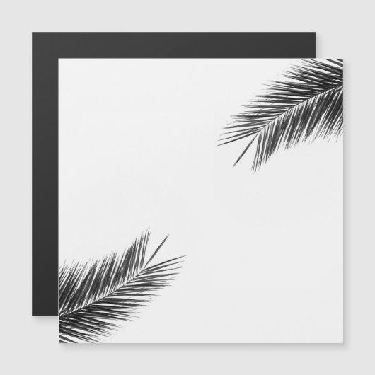 Palm tree branch (Front/Back)