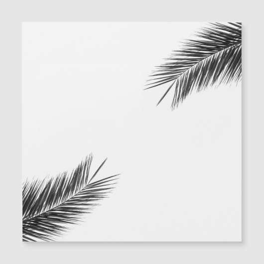 Palm tree branch (Front)