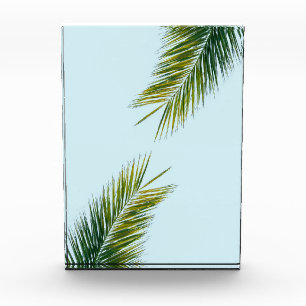 Palm tree branch acrylic award