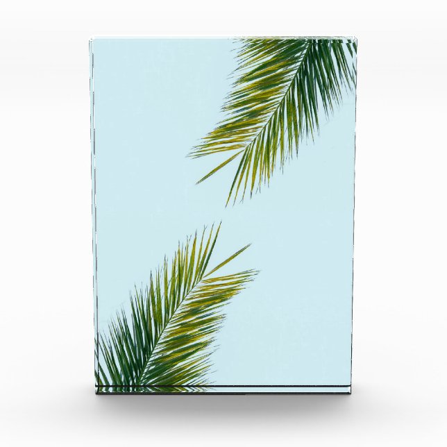 Palm tree branch acrylic award (Front)