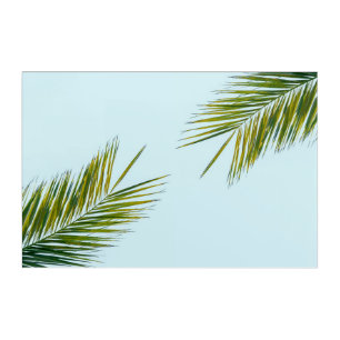 Palm tree branch acrylic print