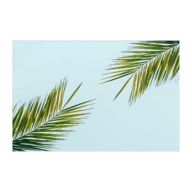 Palm tree branch acrylic print (Front)