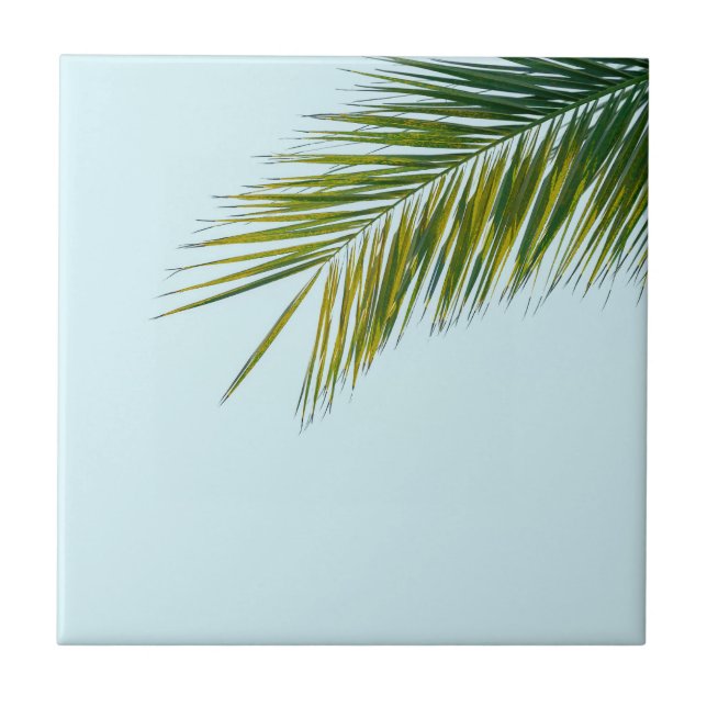 Palm tree branch ceramic tile (Front)