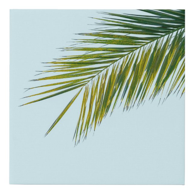 Palm tree branch faux canvas print (Front)