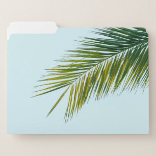 Palm tree branch file folder