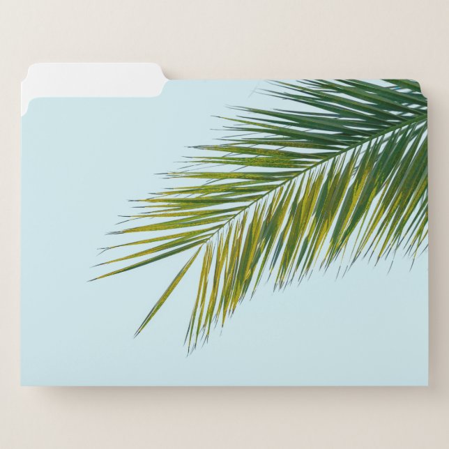 Palm tree branch file folder (Front Left)