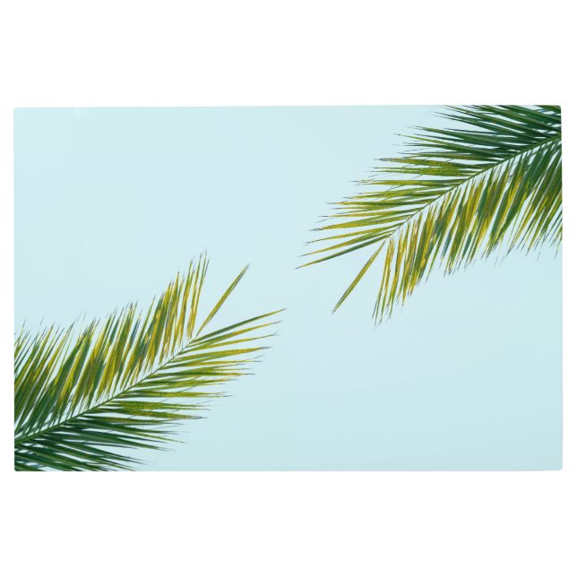 Palm tree branch metal print (Front)