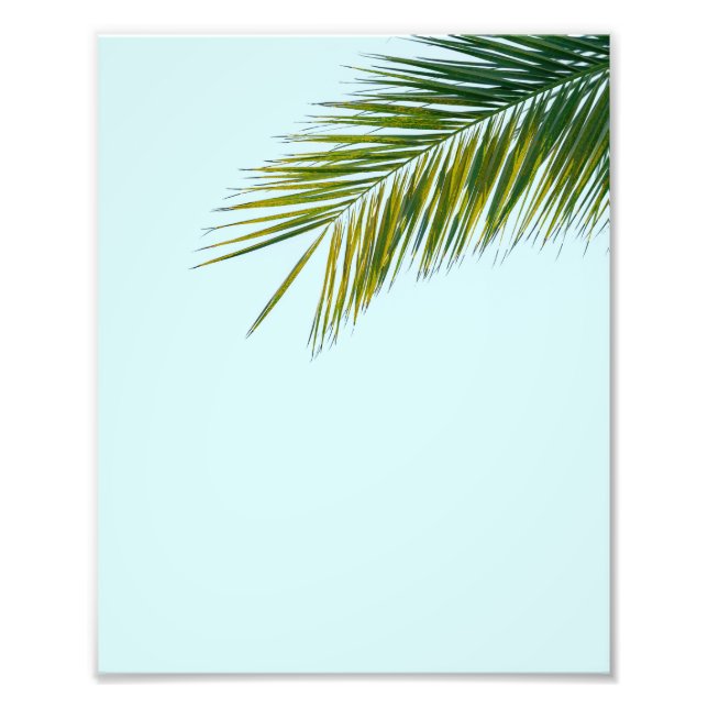 Palm tree branch photo print (Front)