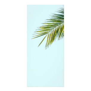 Palm tree branch rack card