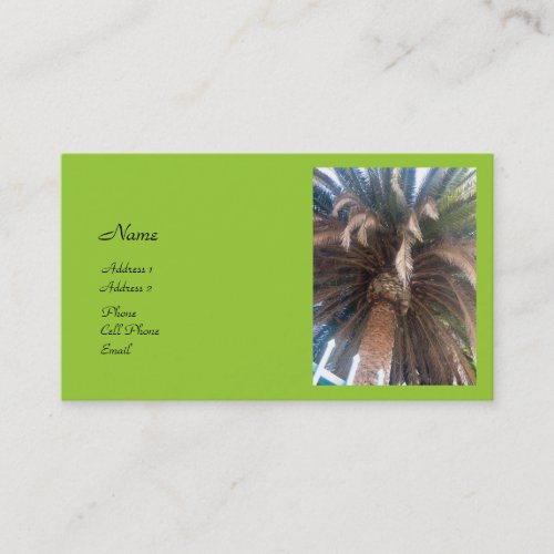 Palm Tree Business Cards