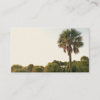 Palm Tree Business Cards by BeachBeginnings at Zazzle