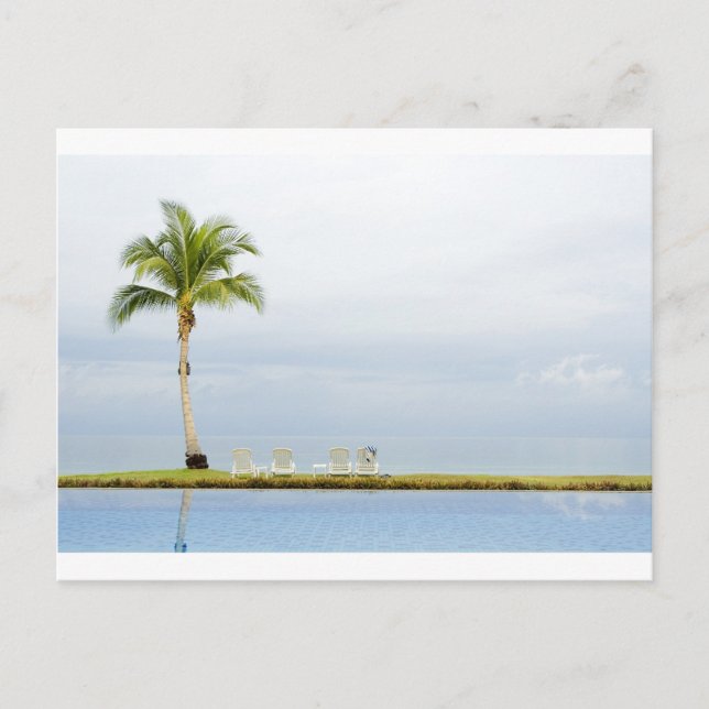 Palm tree by a swimming pool postcard (Front)