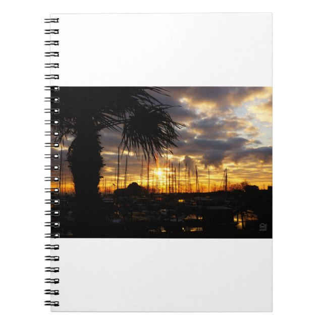 Palm tree by harbor. notebook (Front)