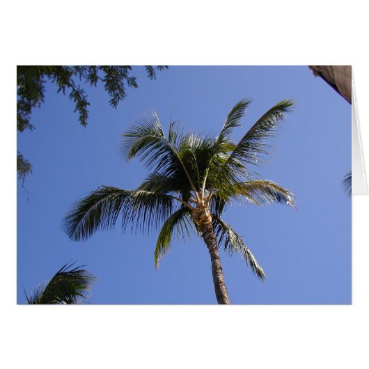 Palm Tree Cards (Front Horizontal)